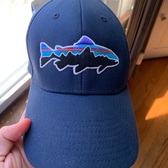 Patagonia Other - Patagonia hat